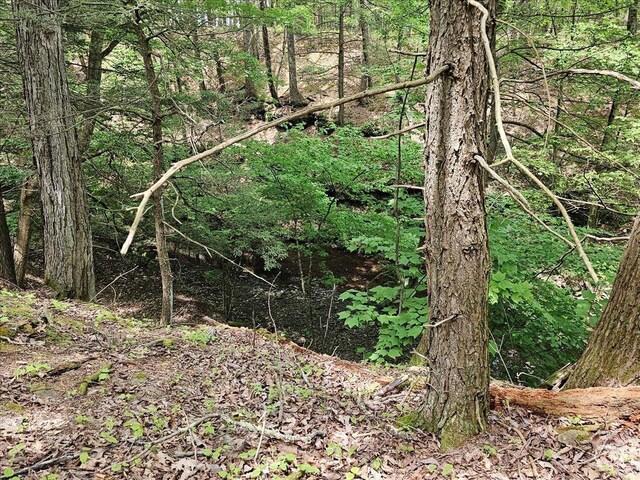 305 Maple Lawn, Cairo, NY 12413 - photo 9