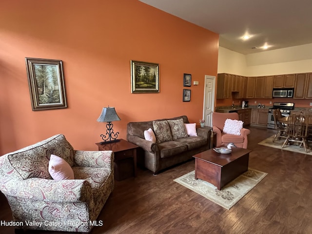 8 Trailside Dr Unit B-9, Hunter, NY 12442 - living area featuring high vaulted ceiling and dark wood finished floors
