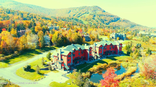 8 Trailside Dr Unit B-9, Hunter, NY 12442 - drone / aerial view of mountains and a heavily wooded area