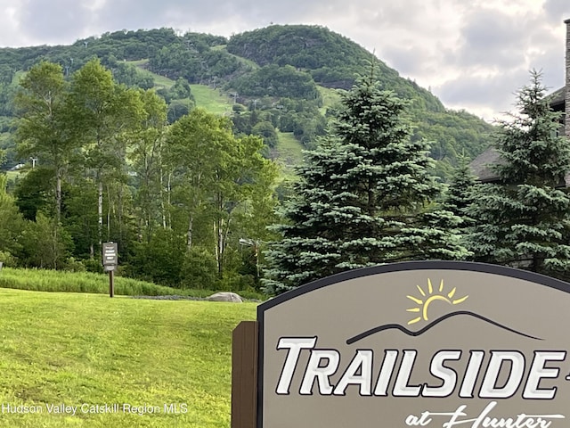 8 Trailside Dr Unit B-9, Hunter, NY 12442 - photo 22