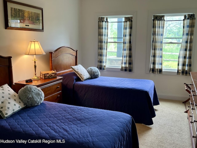 8 Trailside Dr Unit B-9, Hunter, NY 12442 - bedroom featuring carpet flooring and multiple windows