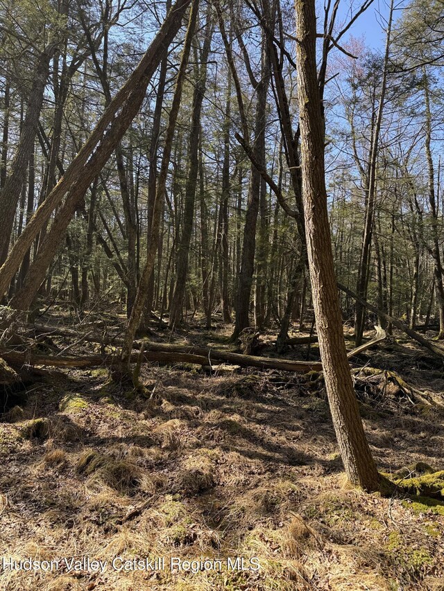 00 Wynkoop Dr, Kerhonkson, NY 12446