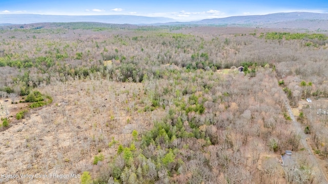 00 Wynkoop Dr, Kerhonkson, NY 12446