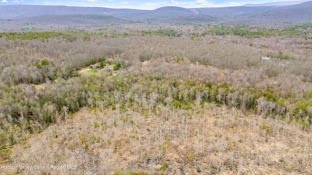 00 Wynkoop Dr, Kerhonkson, NY 12446