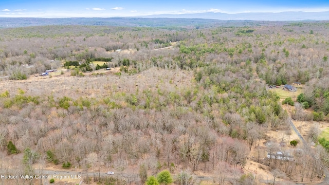 00 Wynkoop Dr, Kerhonkson, NY 12446