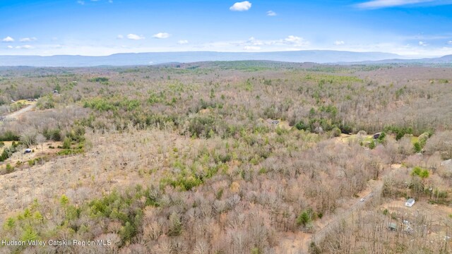 00 Wynkoop Dr, Kerhonkson, NY 12446