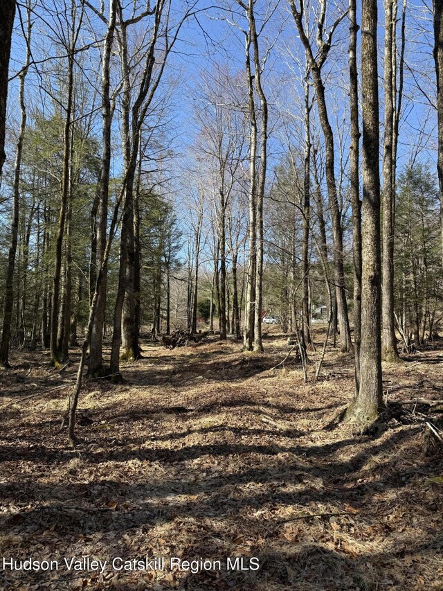 00 Wynkoop Dr, Kerhonkson, NY 12446