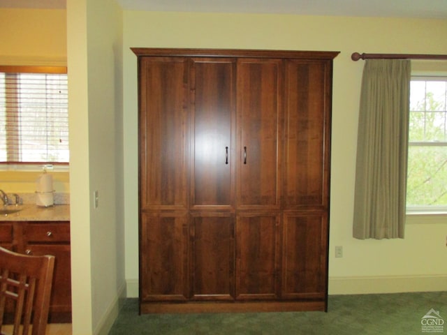 62-238E4 Liftside Dr, Hunter, NY 12442 - closet featuring a sink