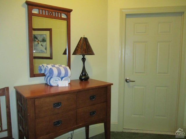 62-238E4 Liftside Dr, Hunter, NY 12442 - view of corridor