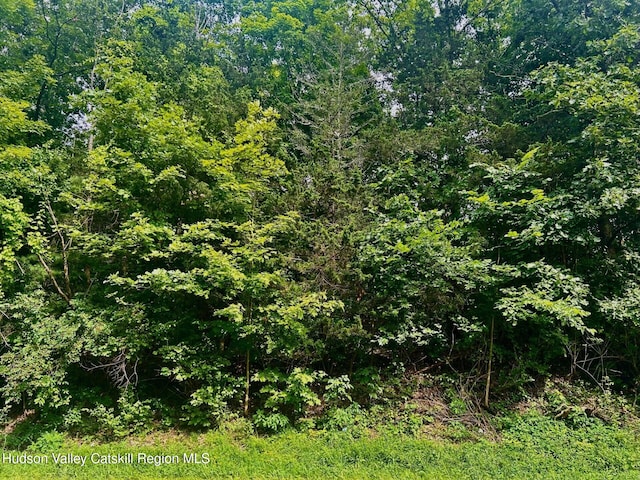 980 N Quaker Ln, Staatsburg, NY 12580 - photo 1