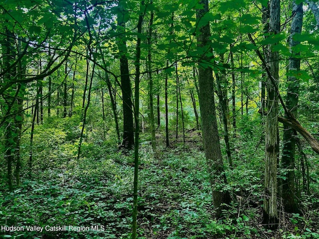 980 N Quaker Ln, Staatsburg, NY 12580 - photo 5