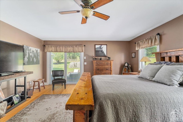  - bedroom featuring multiple windows, wood finished floors, and ceiling fan