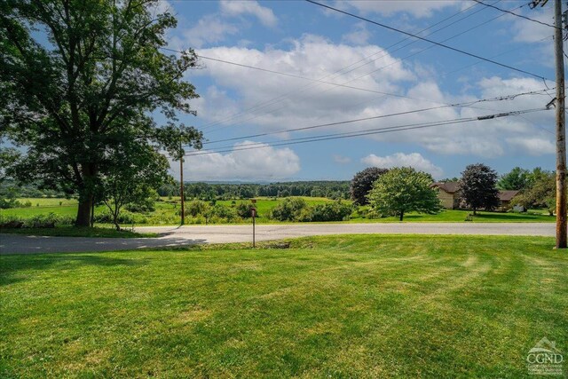  - view of grassy yard