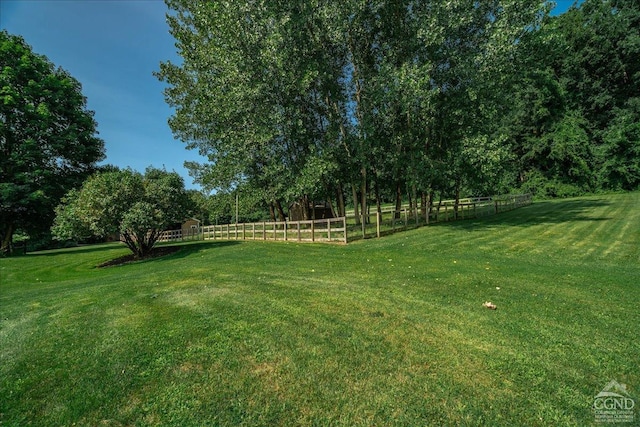 - view of yard