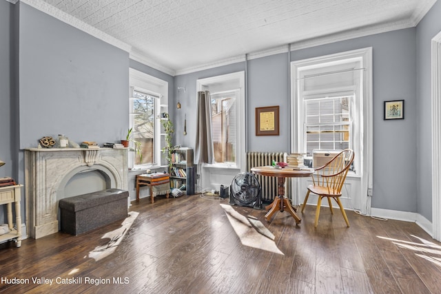 113 Hone St, Kingston, NY 12401 - photo 15