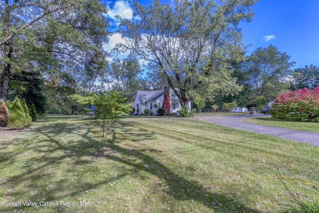 179 Grove St, Tillson, NY 12486 - view of yard