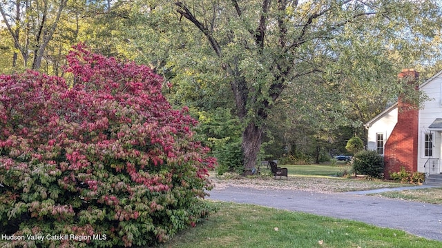 179 Grove St, Tillson, NY 12486 - view of grassy yard