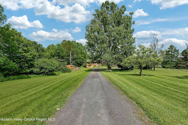 1170 Bull Hill Rd, Gilboa, NY 12076 - photo 51