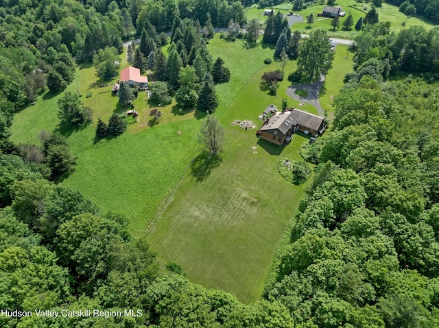 1170 Bull Hill Rd, Gilboa, NY 12076 - photo 48