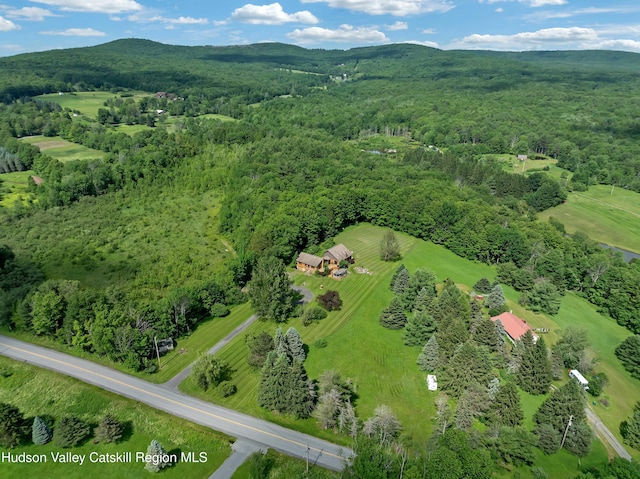 1170 Bull Hill Rd, Gilboa, NY 12076 - photo 44