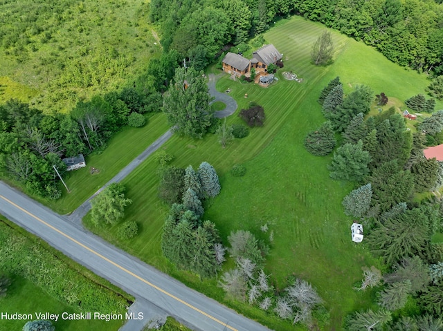 1170 Bull Hill Rd, Gilboa, NY 12076 - photo 45