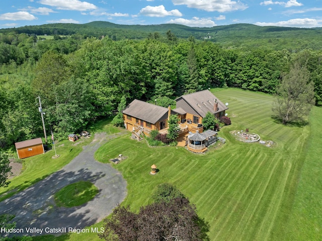 1170 Bull Hill Rd, Gilboa, NY 12076 - photo 46
