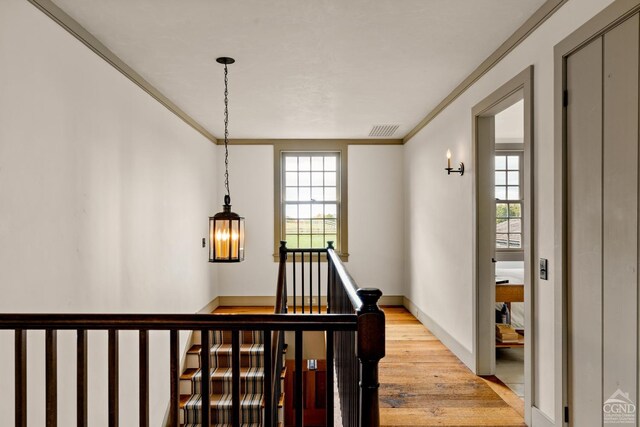 118 Finkle Rd, Ancram, NY 12503 - hallway with wood finished floors, an upstairs landing, crown molding, and baseboards