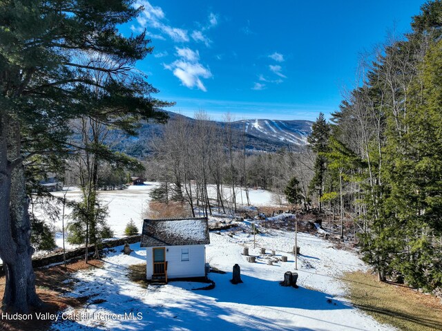 21 Nauvoo Rd, Windham, NY 12496 - photo 30
