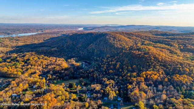 aerial view featuring a wooded view and a water and mountain view