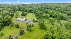 458 Lape Rd, Nassau, NY 12123 - photo 9