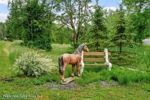 458 Lape Rd, Nassau, NY 12123 - photo 3