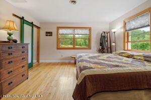 458 Lape Rd, Nassau, NY 12123 - photo 52