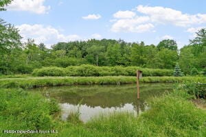 458 Lape Rd, Nassau, NY 12123 - photo 63