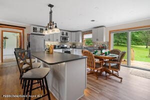458 Lape Rd, Nassau, NY 12123 - photo 41