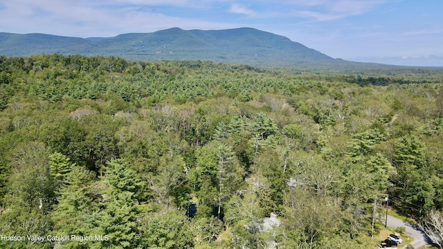 view of mountain feature