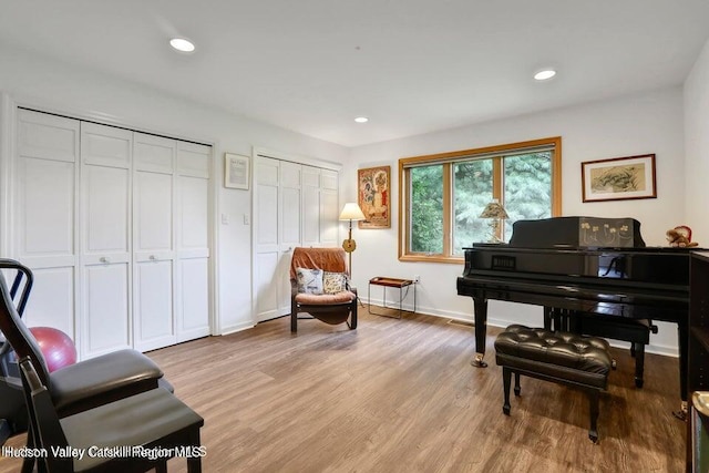 sitting room with light wood-type flooring