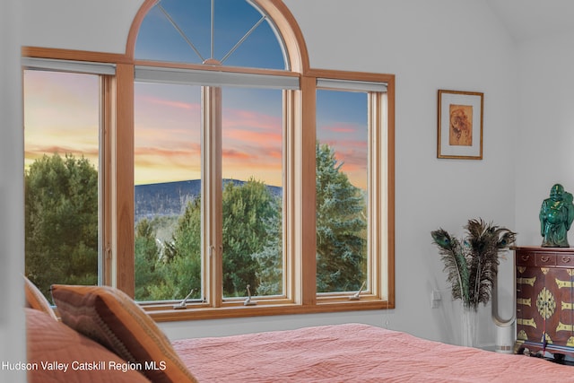 bedroom with multiple windows and lofted ceiling