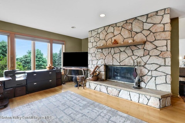 living room with light wood-type flooring and a fireplace