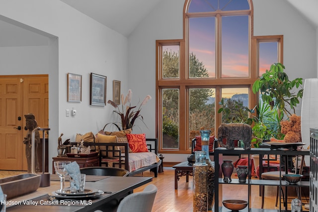 dining room with vaulted ceiling and hardwood / wood-style flooring