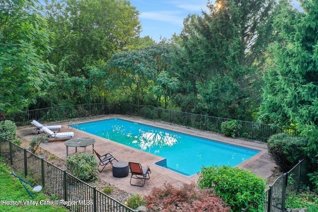 view of pool featuring a patio area