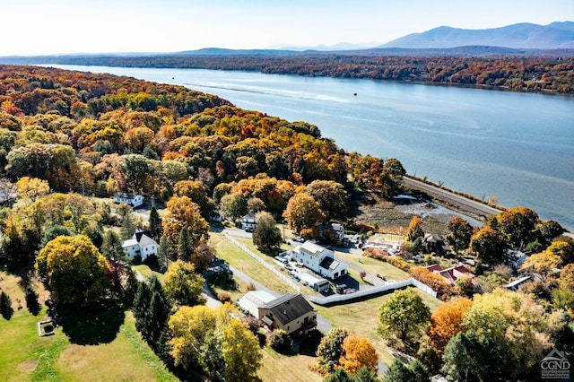 38 Cheviot Rd Unit 8, Germantown, NY 12526 - bird's eye view of a water and mountain view and a heavily wooded area