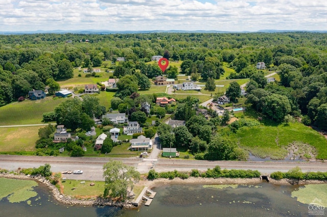 38 Cheviot Rd Unit 8, Germantown, NY 12526 - drone / aerial view of a heavily wooded area and a nearby body of water
