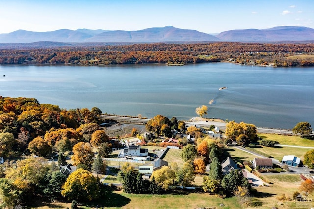 38 Cheviot Rd Unit 8, Germantown, NY 12526 - aerial view of a water and mountain view