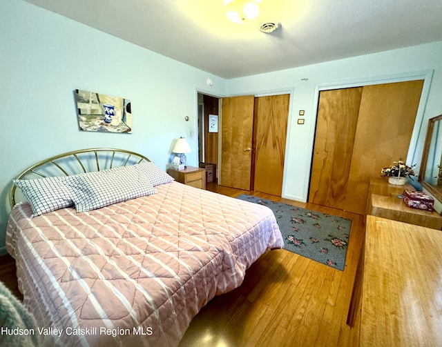 258 Watson Hollow Rd, West Shokan, NY 12494 - bedroom with two closets and wood finished floors