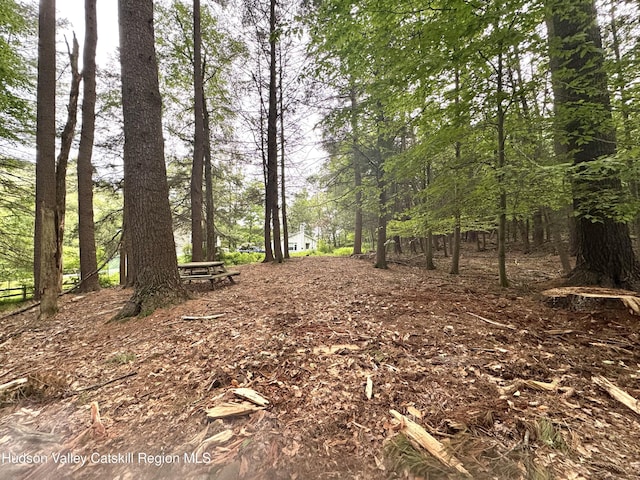 258 Watson Hollow Rd, West Shokan, NY 12494 - view of undeveloped land