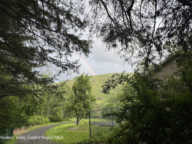 258 Watson Hollow Rd, West Shokan, NY 12494 - view of grassy yard featuring a forest view