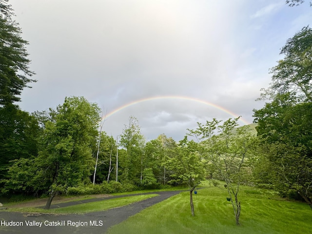 258 Watson Hollow Rd, West Shokan, NY 12494 - view of surrounding community