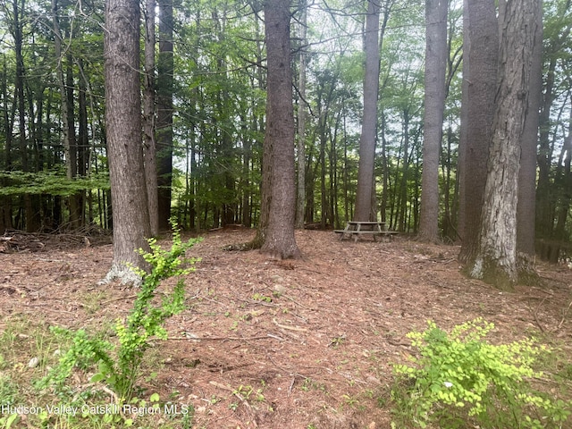 258 Watson Hollow Rd, West Shokan, NY 12494 - view of woods