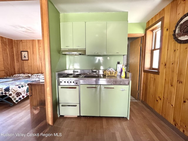 258 Watson Hollow Rd, West Shokan, NY 12494 - kitchen with stainless steel counters, wooden walls, dark wood-style floors, white electric stove, and under cabinet range hood