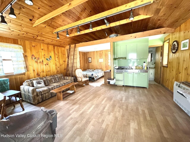 258 Watson Hollow Rd, West Shokan, NY 12494 - living room with rail lighting, wooden walls, light wood-style floors, and wood ceiling with exposed beams